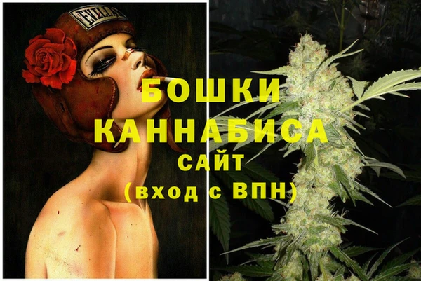эйфоретик Арсеньев