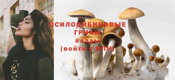 бошки Аркадак