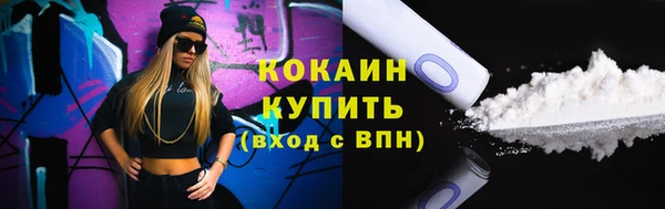 сатива Армянск