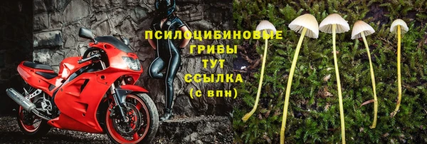 экстази Алексин