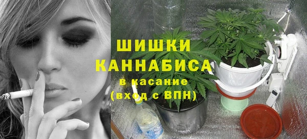 эйфоретик Арсеньев