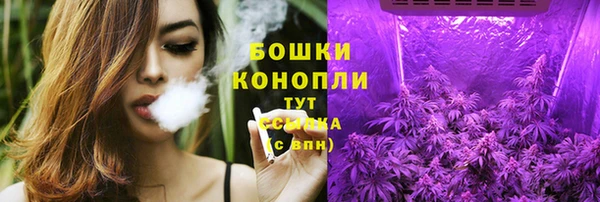 сатива Армянск