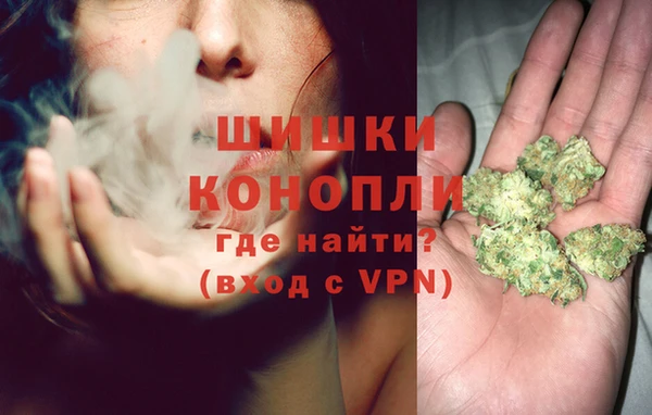 сатива Армянск