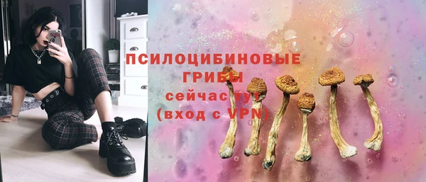 эйфоретик Арсеньев